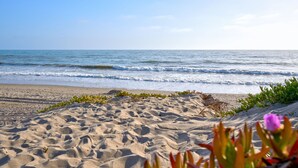 A sandy beach with gentle waves and clear skies. - Breathtaking Private Beach Getaway (Ventura)