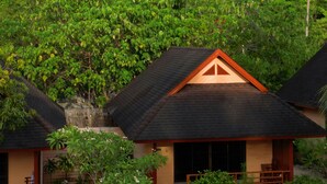 A bungalow with a sloped roof, surrounded by lush greenery and a palm tree. -  Cruiser Island Resort by Swiss-Belhotel (Koh Lon)
