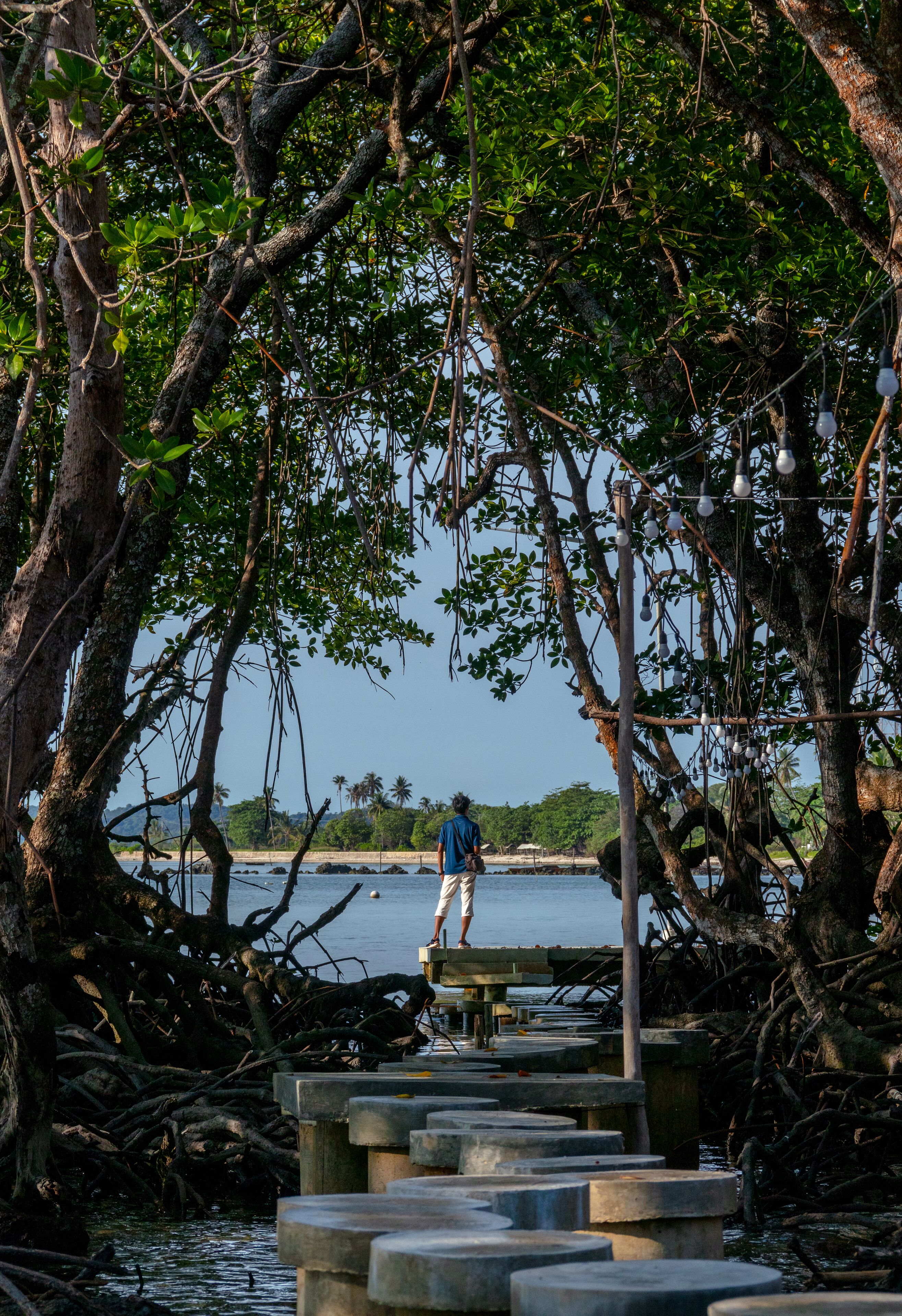 A person standing on a concrete pathway surrounded by trees and water.