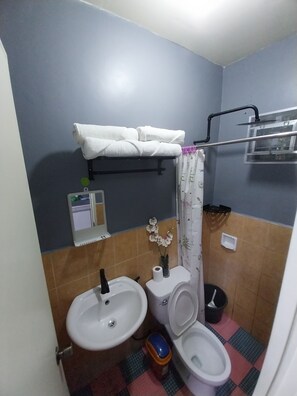 Shower, bidet, towels, toilet paper