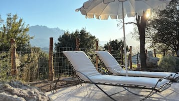 Terras