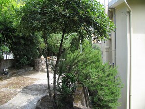 Property grounds - Villa Margarita on the beach. (Corfu)