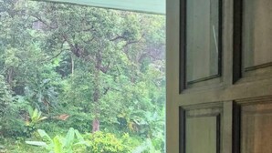 A wooden door with a metal handle, leading to a balcony with a view of dense greenery. - PAILIN HILL (Patong)
