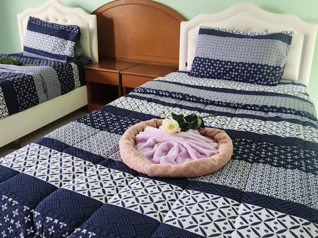 Standard Twin Room | 1 多间卧室、办公桌、床单