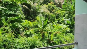 A balcony with a metal railing overlooking a lush green landscape with various plants and trees. - PAILIN HILL (Patong)
