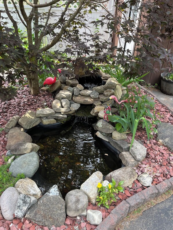 A small, naturalistic pond surrounded by rocks and plants, with a wooden fence in the background.