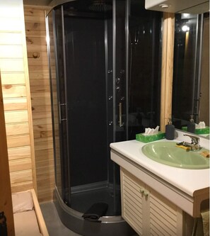 Shower, hair dryer - Chalet 3 Avec vue Imprenable ,sauna et Terrain de Pétanque. Animaux Acceptés (Ventron)