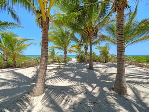 Beach - Casa La Costeña  -  Yucatan Home Rentals (Chicxulub)