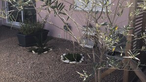 A garden area with gravel paths, a small tree, and a potted plant in front of a building with a pink facade and a window. - Appartement de Sylvie (Porto-Vecchio)