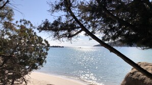 A beach with clear water, rocks, and a tree in the foreground. - Appartement de Sylvie (Porto-Vecchio)