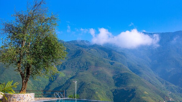 Una piscina infinita con vistas a montañas verdes y un árbol.