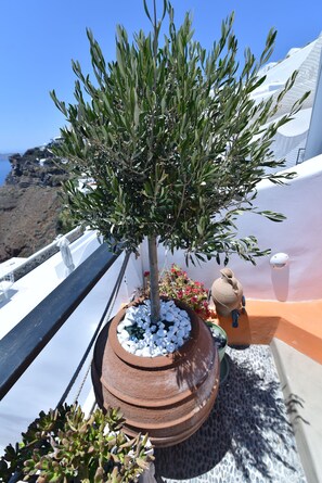 Panoramic Villa | Terrace/patio