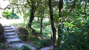Une zone boisée avec un escalier en béton qui monte le long d’une pente.