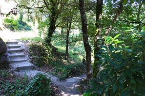A forested area with a concrete staircase leading up a slope.