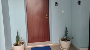 A hallway with a wooden door, two potted plants, and blue mats on the floor. - Blue house apartment Korčula (Žrnovo,)