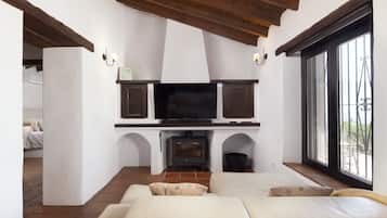 TV, fireplace, table tennis