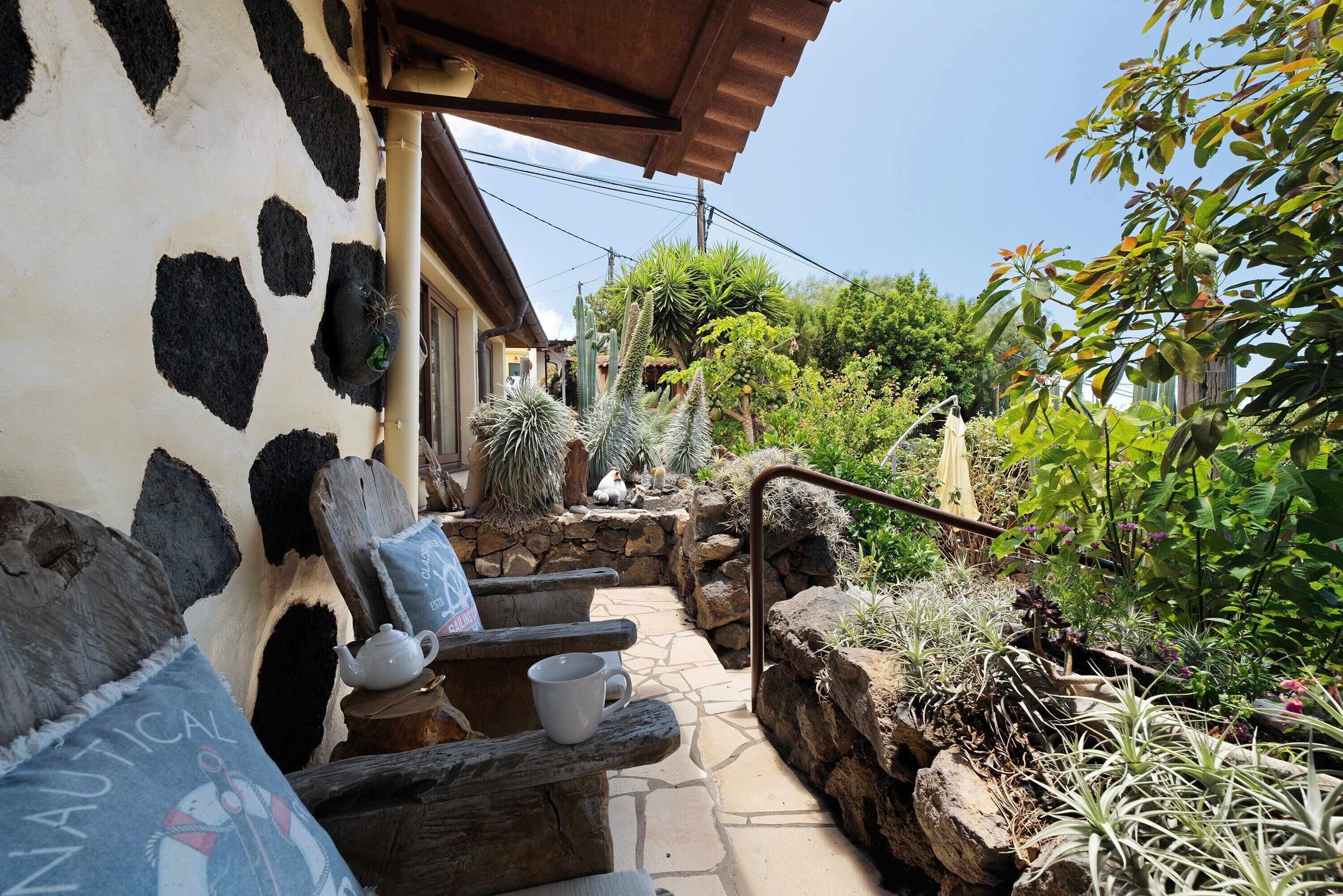 Un banco de piedra con una tetera y una taza, una maceta con cactus y un muro estampado con diseño de vaca.