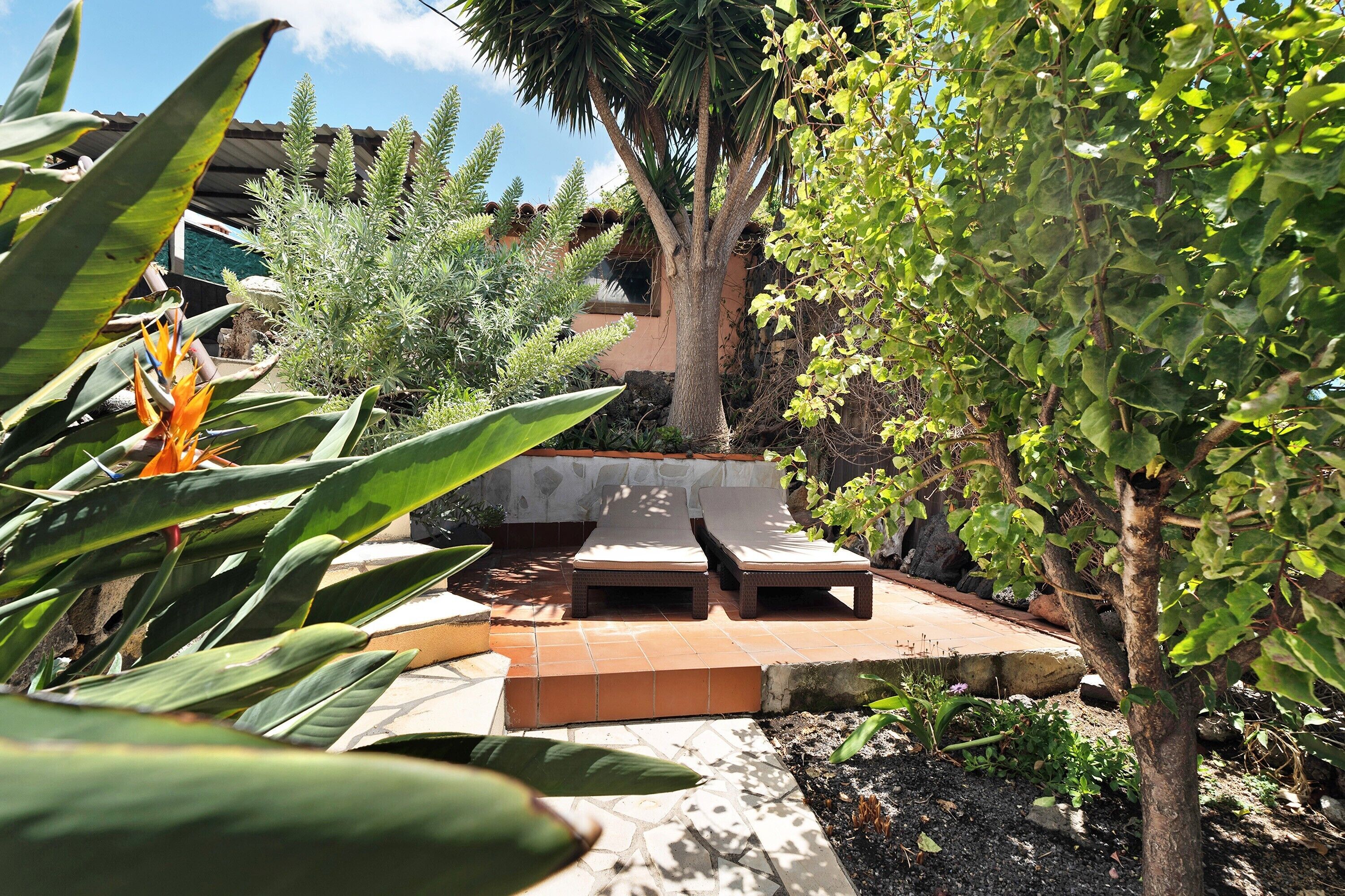 A patio area with two lounge chairs, a small garden with various plants, and a stone wall.
