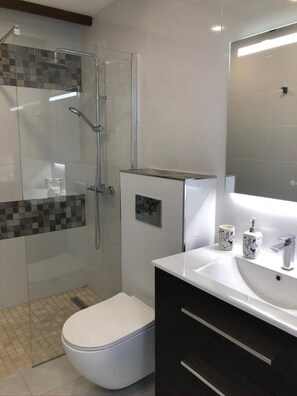 Ducha, secador de pelo, toallas