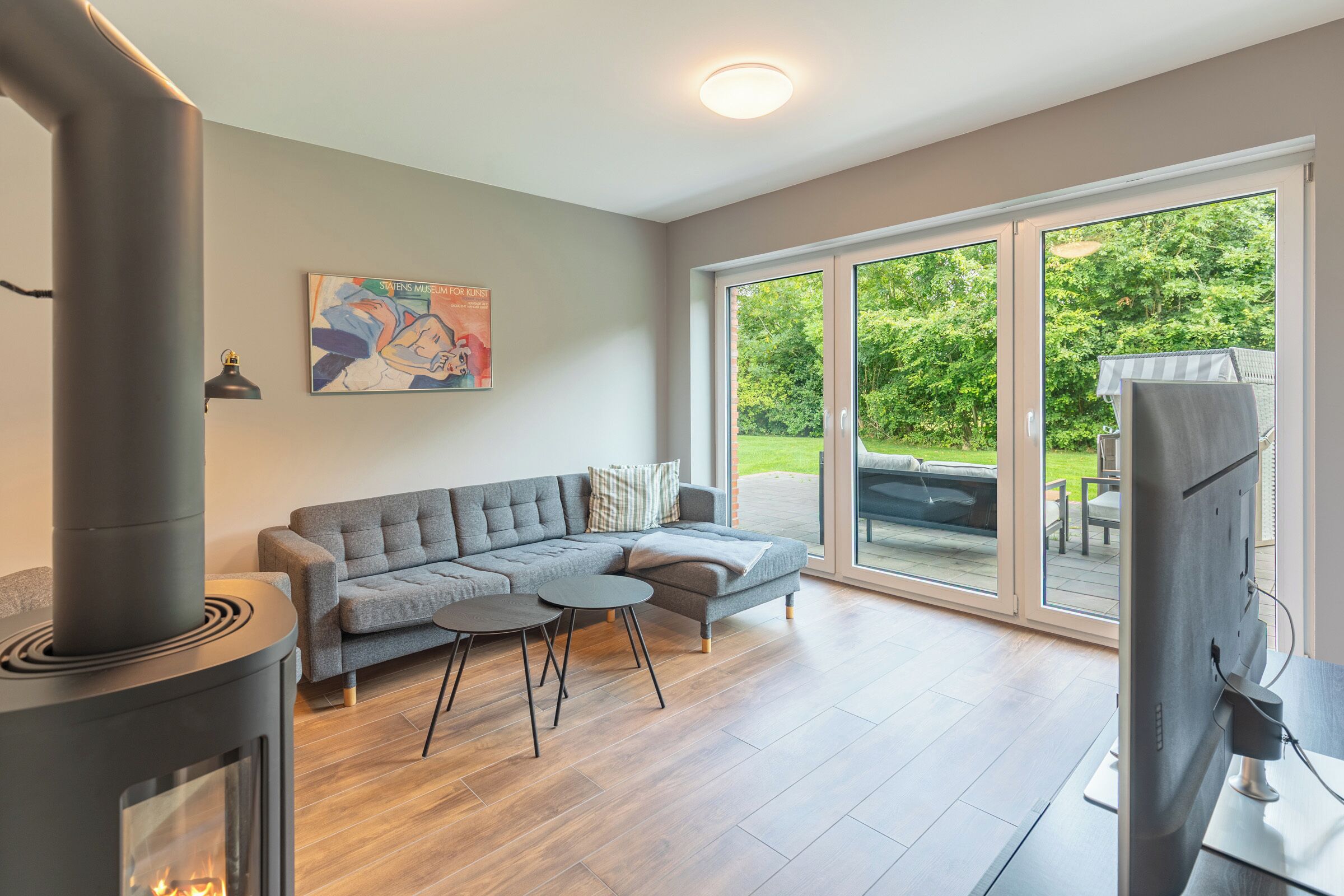 Televisión y chimenea 