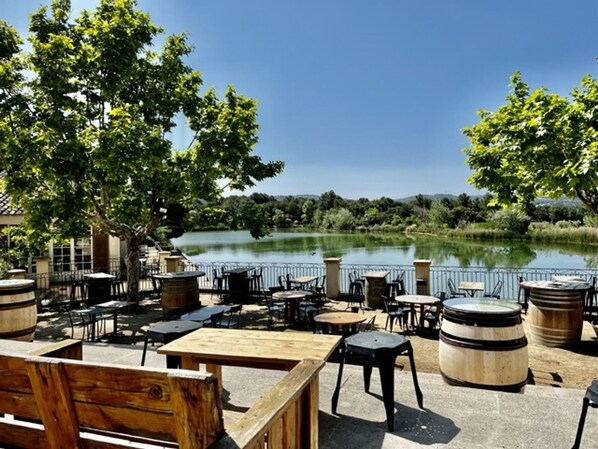 Outdoor dining - Charming Provence Villa: 3BR, Pool, A/C, Wi-Fi, Parking, Golf Nearby (Mallemort)