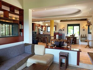 Smart TV, fireplace, books