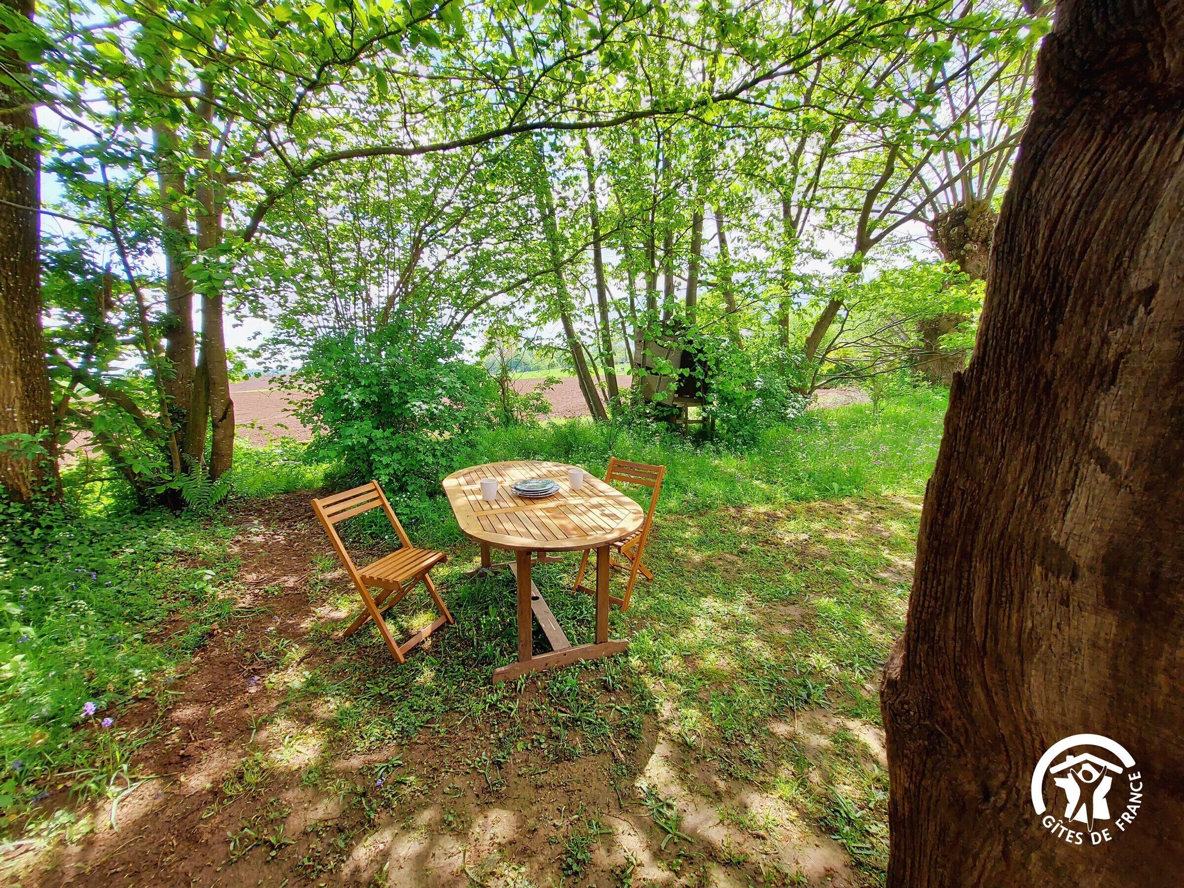 A wooden table and chairs set in a forested area with a dirt ground.