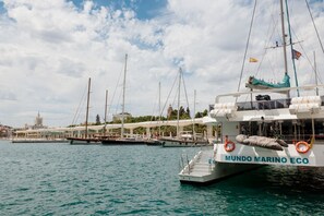 Marina - Holiday apartment in Málaga city center (Málaga)