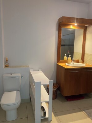 Chuveiro, secador de cabelo, toalhas de banho, sabonete