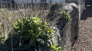 Une maison à deux étages, avec un toit sombre, des murs blancs et un petit porche à l’avant.