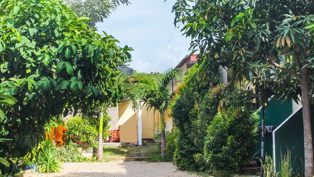 A paved pathway leading through a lush garden area with various plants and trees. - Hotel O We Bro Kost (Nginamanu)