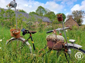 Terrein van de accommodatie