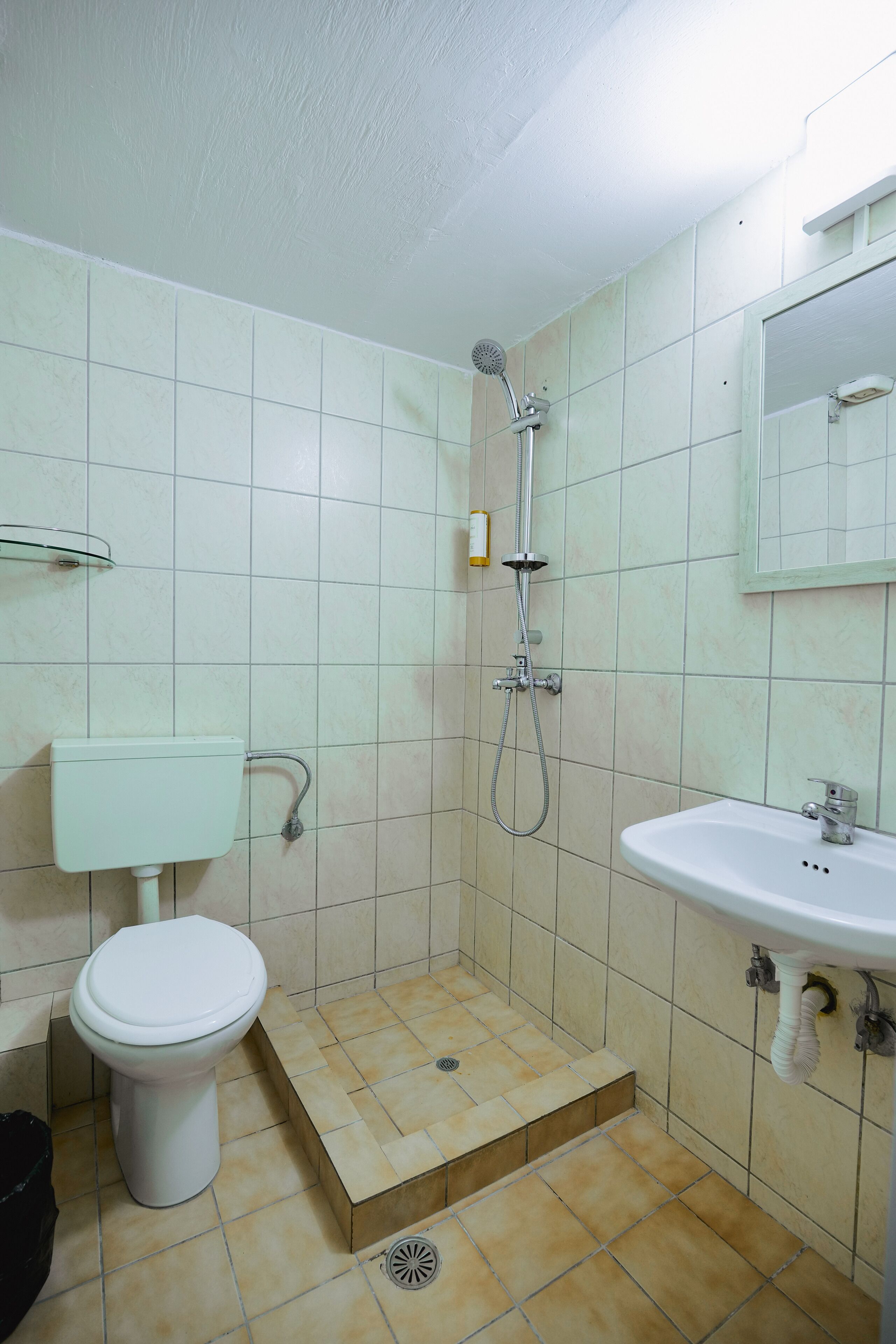 A small bathroom with a toilet, a sink, and a shower.