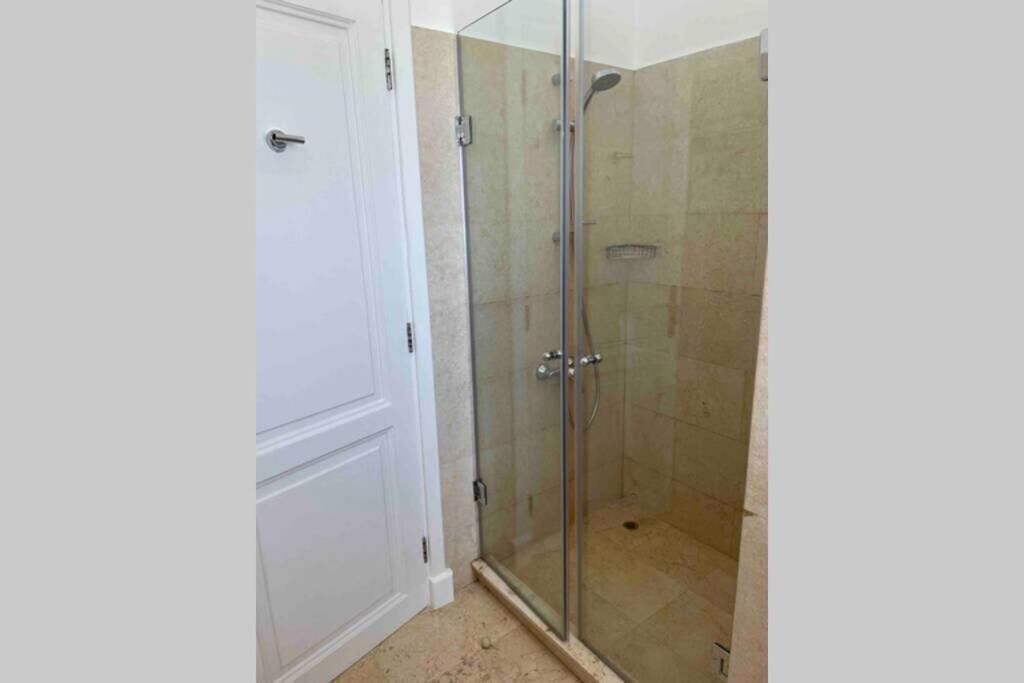 A glass-enclosed shower with a tiled floor and a white door.
