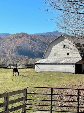 A barn with a horse grazing in the foreground, surrounded by a fenced area and a mountainous backdrop.