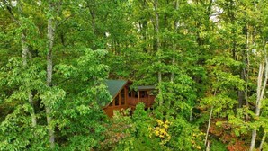 A cabin surrounded by dense forest. - Relax Above the Smokies · Bearway to Heaven (Sevierville)