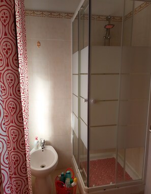 Shower, hair dryer, bidet, towels
