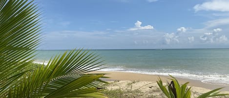 On the beach
