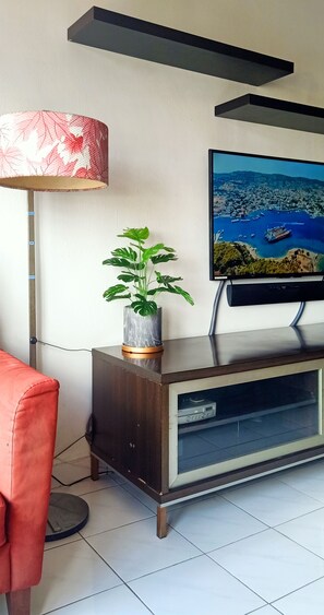 Smart TV, video games, DVD player, books