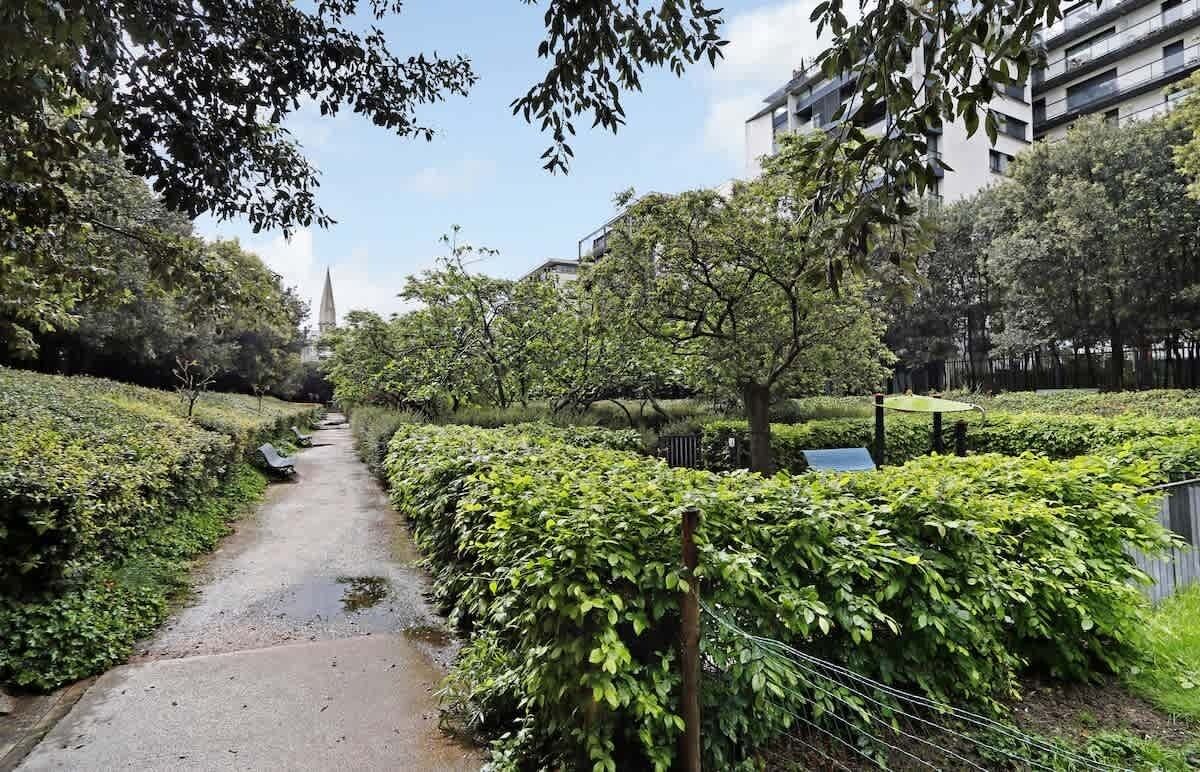 A pathway flanked by neatly trimmed hedges and trees, leading towards a distant building with a spire.