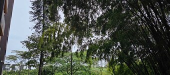 Comodo y Acogerdor apt en Magnifica Ubicacion