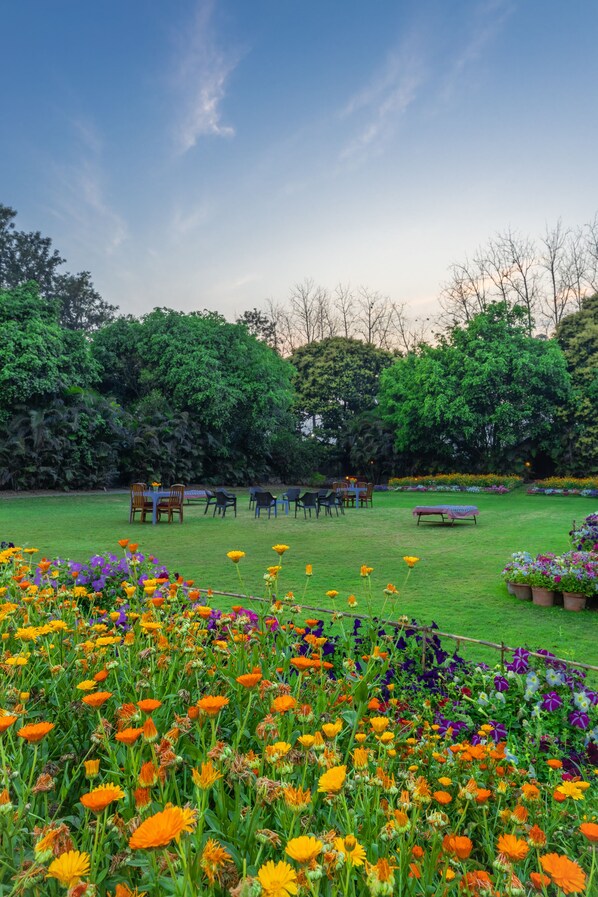 Jardín