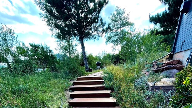A wooden pathway leading through a garden with various plants and a tree in the background. - Walkout Basement 
from a Superhost! (Lyons)