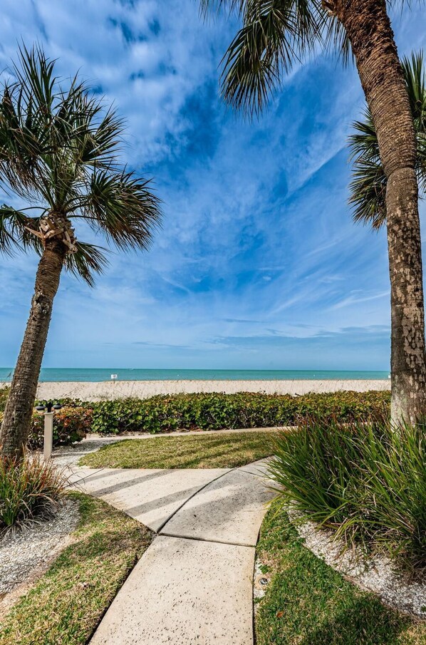 A pathway leading to a beach with palm trees and a clear sky.