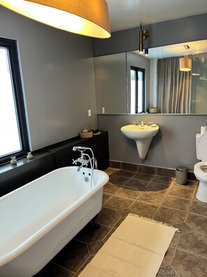 Hair dryer, towels, soap, toilet paper