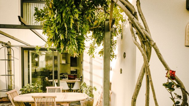 Un patio al aire libre con una mesa redonda y sillas, rodeado de macetas con plantas y una enredadera con una sola rosa roja.