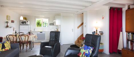 Televisión, reproductor de DVD, libros, estéreo