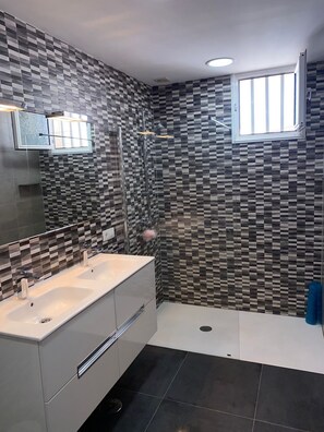 Shower, hair dryer, bidet, towels