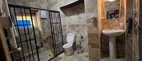 Baño con inodoro, lavamanos y zona de ducha.