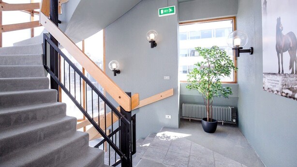 Un escalier avec une rampe en bois et des balustres noires, une plante en pot et un luminaire fixé au mur.